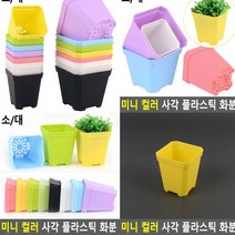 플라스틱화분 소 옐로우 나무화분 인테리어화분 실내텃밭 실내정원 방울토마토화분 베란다정원 대형화분 소형