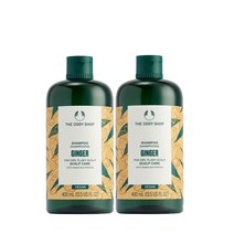 진저 스캘프 케어 샴푸 400ML 2개 세트 887934
