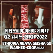 (커피생두) 285 에티오피아 아바야 게이샤 G2 워시드-CROP2022 500g