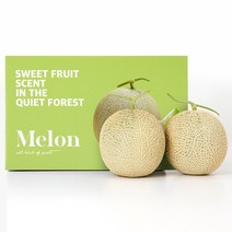 프리미엄 고당도 머스크메론 2수 과일선물세트 (총3.2kg/1수 1.6kg)