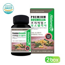 프리미엄 보스웰리아 추출물 분말 농축 캡슐 고함량 보스웰릭산 손가락 손목 무릎 관절 연골 건강 식품 상어연골 울금 콜라겐 비타민D 해조 칼슘 함유 인도산 보스웰리아정 알약 형태, 2Ea, 프리미엄 보스웰리아정 60C