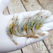 직접조업 선장님 강화도 보리새우 1kg ( 김장용 급냉 생새우 냉동 ), 3통