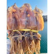 [1등급뽀얀마른건한치] 동해안 건조 마른 오징어 1kg (20미) 당일배송