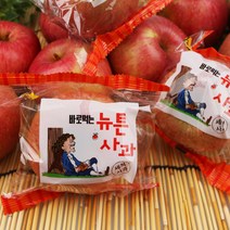 충북 제천 아삭아삭 뉴튼 세척 사과 2.5kg(11-15과), 1개