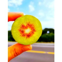 레드키위 3kg 40개내외 제주레드키위 천혜향 노지감귤 조생귤, 상세페이지 참조