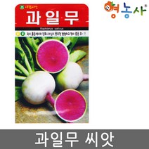 과일무 씨앗 100립