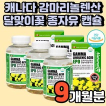 기능성 캐나다산 감마 리놀레산 달맞이꽃 종자 추출물 캡슐 기름 리놀렌산 50대 여성 선물 식약청 허가 엄마 LDL 콜레스테롤 혈행 개선 60대 월경 호르몬 여자 중년 영양제 추천