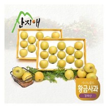 [산지애] 씻어나온 황금사과 3kg x 2박스 총 6kg (시나노골드)