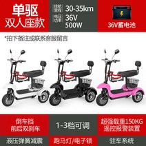 3륜전기자전거 전동 세발 자전거 성인용 3인용 삼륜 세발자전거 가성비 전기, 48V, 36V 1인용- 축전-2인승-원터치 시동
