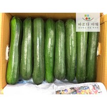 바르다야채 쥬키니호박 주키니 호박 5kg 10kg 1box