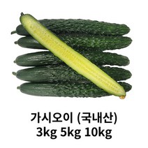 가시오이 못난이 3kg 5kg 10kg 국내산 산지직송 실속형 청오이 오이 수분가득 청량감 아삭아삭 오이소박이 오이무침 가시오이, 1box