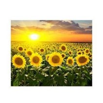 MJS 보석십자수 캔버스형 50 x 40 cm DIY 세트 BSX40, 해바라기 꽃밭