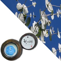 늘향 늘향 상쾌함과 할력을주는 유칼립투스향 항아리캔들 (2737174), 1호 초록