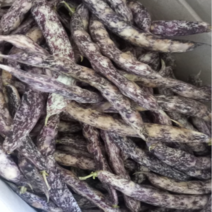 호랑이콩 1kg 강낭콩 국산 강남콩 밤콩 울타리 제비, 1개