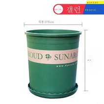 ZZJJC 화분 대전다육플라스틱 특대호 월계다육분재 화분수지갤런 화분, 높이 5갤런 [구경 27.5cm]2개입, 화분 받침대 없음(비료 보내기)