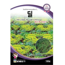 세계 딜 씨앗 100립