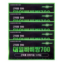 대일 빠삐방 700 의료용 자기발생기 10개입 x 5개
