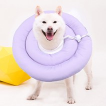 엔템 강아지넥카라 고양이 ufo 애견넥카라, (XL)그레이