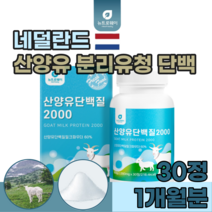 네덜란드 10년 전통 산양유 산양우 분말 분리 유청 단백 질 미셀라카제인 밀크 칼슘 BCAA 간편하게 여성 주부 남녀 노소 씹어 먹는 녹여 맛 있는 정 탕입 맛 있는 추천 파는곳