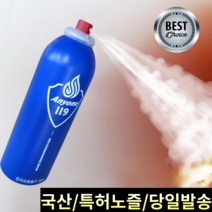 자동차 소화기 가정용 업소 주방 애니원 119 스프레이 소형 390g, 2개