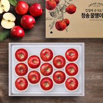 [청년연구소][선물세트] 청송 꿀땡이 사과 5kg 10-14과(대과), 단품