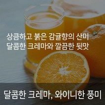 신선한따라쥬 TOP20으로 보는 인기 제품