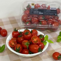 스테비아 토마토 토망고 방울토마토 고당도 2kg, (500g*4팩), 스테비아 방울 망고향