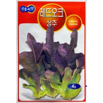 레드오크상추 적오크 상추씨앗 4g