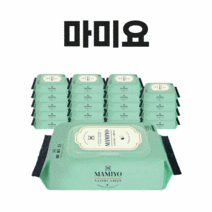네이처그린 두툼한 안전한 깨끗한 물티슈 물휴지 캡형 환자용물티슈 100매 20팩, 100매x20팩