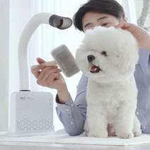 애견드라이기 가정용 수영장 털 드라이어 에어탱크