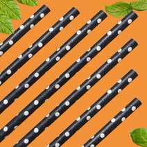 빌리에코 종이빨대 친환경빨대 일회용빨대 100개 (블랙 도트빨대), 1개