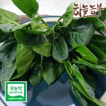 하늘농부 친환경 시금치 200g 1kg, 1봉