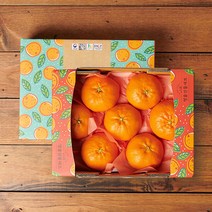 (롯데백화점)제주 레드향 7-10과 1.6kg 과일선물세트