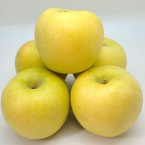 [신 품종] 고당도 시나노골드 황금 사과 3KG 5KG, 1. 가정용(흠과) 2KG 소과 11~14과