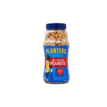 플랜터스 드라이 로스티드 피넛 454g, 1