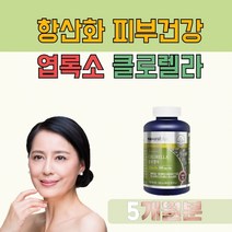 클로렐라 캐나다 엽록소 항산화 피부건강