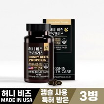 허니 비즈 프로폴리스 bee propolis 60캡슐 특허 캡슐 먹는방법, 3병, 허니 비즈 프로폴리스 600mg x 60캡슐