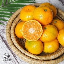 [돌담과수원] 제주 노지 감귤 9kg(로얄), 단품