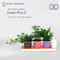 일음쇼핑^^m맘스품 무동력 자동급수시스템 화분+화초 시리즈_L세트)무 물순환 쿠아리 플라스틱 컬러 미니 인테리어 그린 식물 식믈 공기정화식 일medi^^, ab^^선택없는