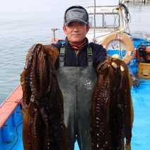 자연진리고흥 생 곰피미역 쇠미역 1kg 2kg 3kg 당일조업, 생곰피미역 2kg, 1개