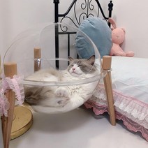 기타 고양이숨숨집 투명 사계절 여름집 케이지 애완동물 용품 침대밑막기, 색상 분류: 우주 캡슐에 투명한 구체가있는 고양이  【아크릴 소재】, 적용 가능한 크기: 강아지  4kg 이내 고양이 6kg 개 (부드러운 수면 패드 내장)