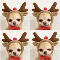 강아지 겨울 옷 티셔츠 애견의류 후드티 기본 스웨터 코트 귀여운 개구리 모양 따뜻한 재킷 고양이 추운 날씨 외투 개 할로윈, 36.엘크 - XXL