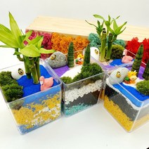 만들기재료 이끼테라리움(개운죽)1인