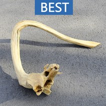 유목 대형 93cm 국산