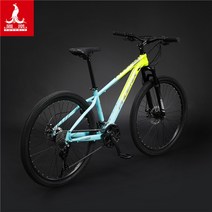 오프로드 자전거 자이언트 팻바이크 입문용 티타늄 스피드바이클 Bike 산악 수입자전거, 30 단, 24인치, 01.스틸 프레임 - 형광 황색