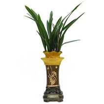 산천보세23 ej1 동양란 승진화분 축하 취임 영전 선물