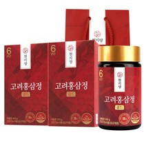 천지양 6년근 고려홍삼정 골드 240g 쇼핑백, 2병