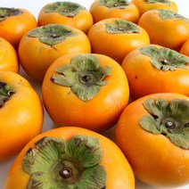 경남 창원 북면단감 3kg / 5kg / 10kg, 01.북면단감 3kg (19-25과내), 상세설명 참조