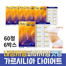 가르시니아 비타민b 셀레늄 곡물효소 다이어트 영양제 허벅지살 등살 옆구리살 처진뱃살 체지방 감소 주부 여성 예신 중년 40대 50대 남자 뱃살 윗배 복부지방 내장지방 체지방컷팅제