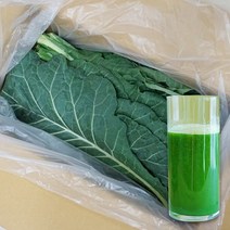 유기농 즙용 케일 1kg 2kg 3kg 5kg